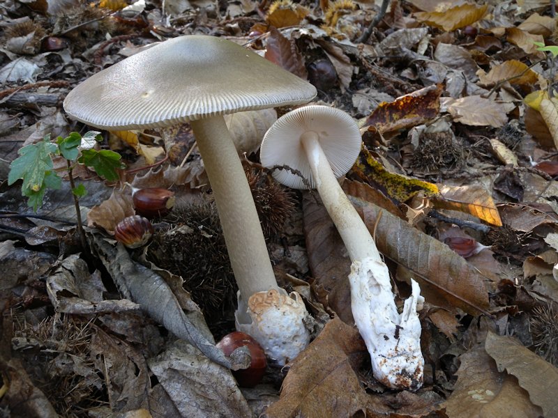 Forse l''ultima bellissima giornata..!!